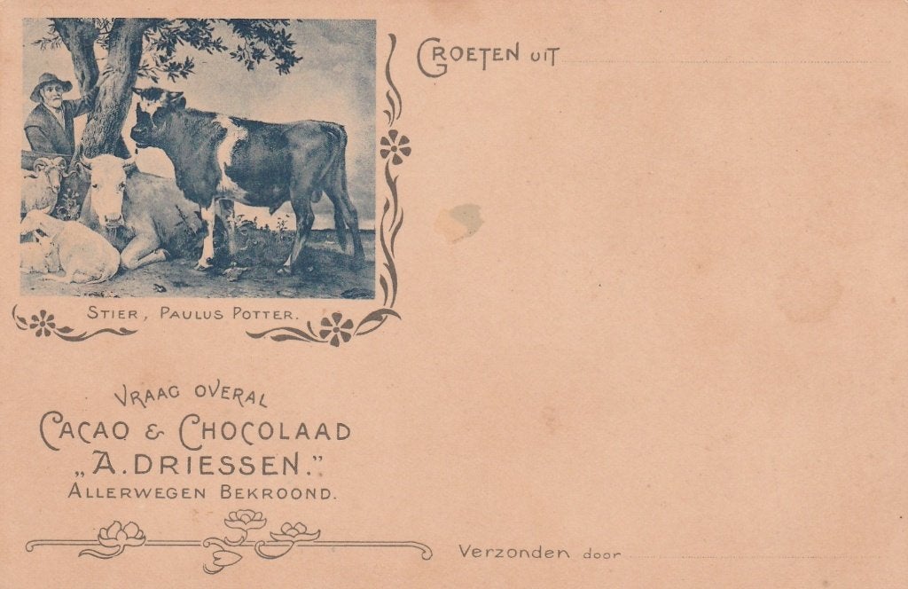 Stier Paulus Potter Cacao A. Driessen, Verzamelen, Ansichtkaarten | Dieren, Verzenden, Voor 1920, Ongelopen, Overige soorten