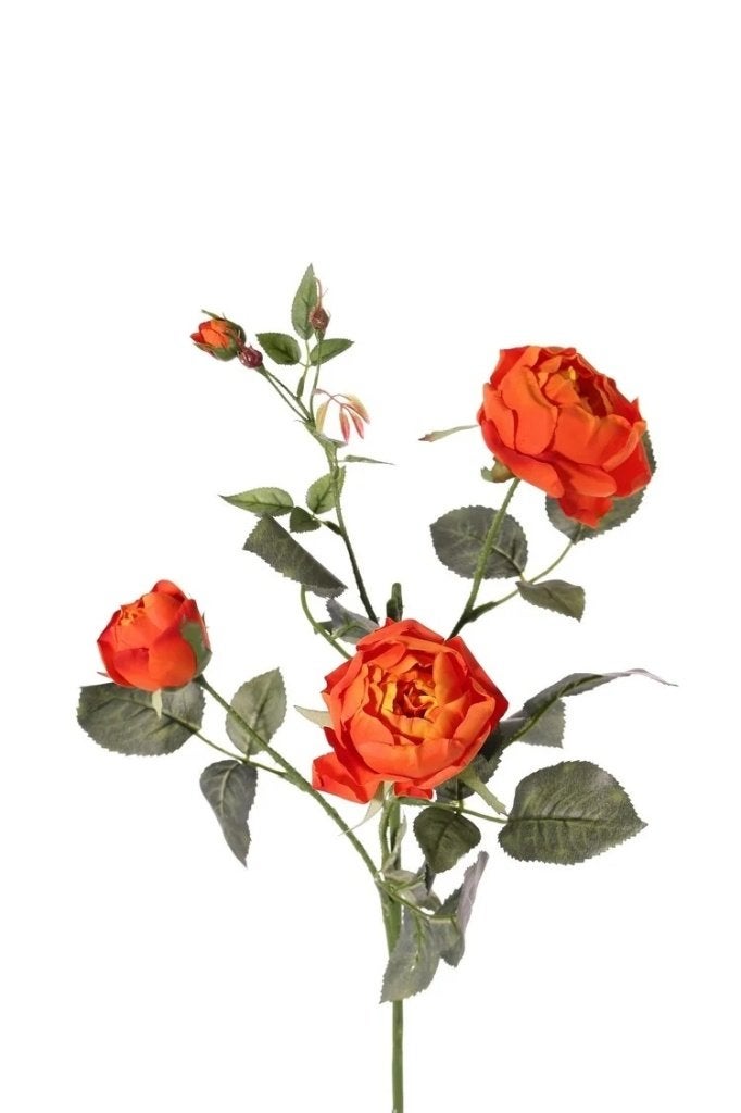 TOP ART - PRACHTIGE ROZEN TAK, Ophalen of Verzenden, Nieuw
