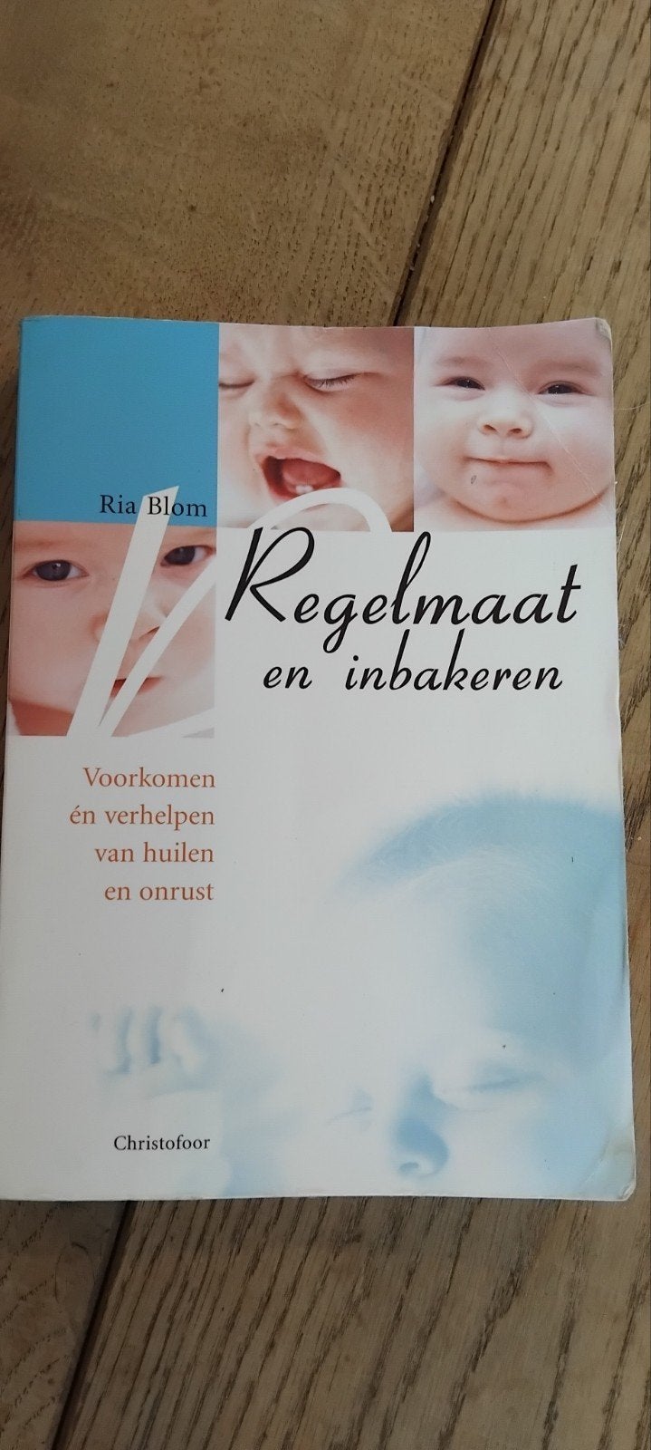 Zwanger met hart en ziel - Riet van Rooij, Ophalen of Verzenden, Zo goed als nieuw, Zwangerschap en Bevalling, Riet van Rooij