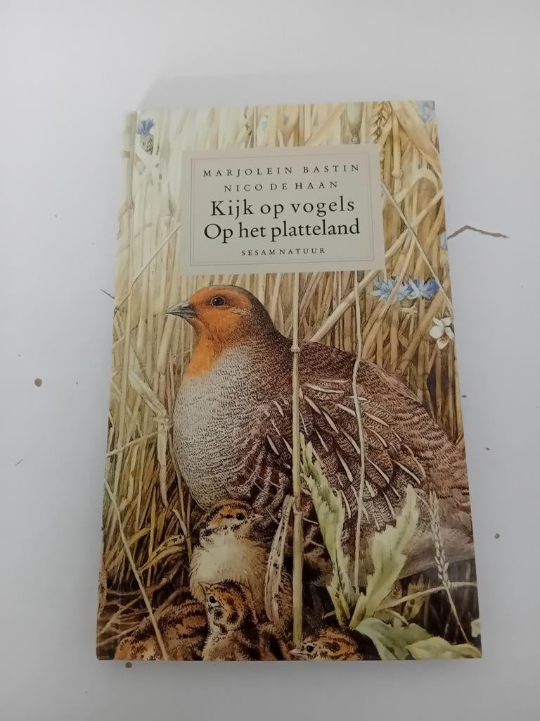 Kijk op vogels op het platteland, Ophalen of Verzenden, Vogels