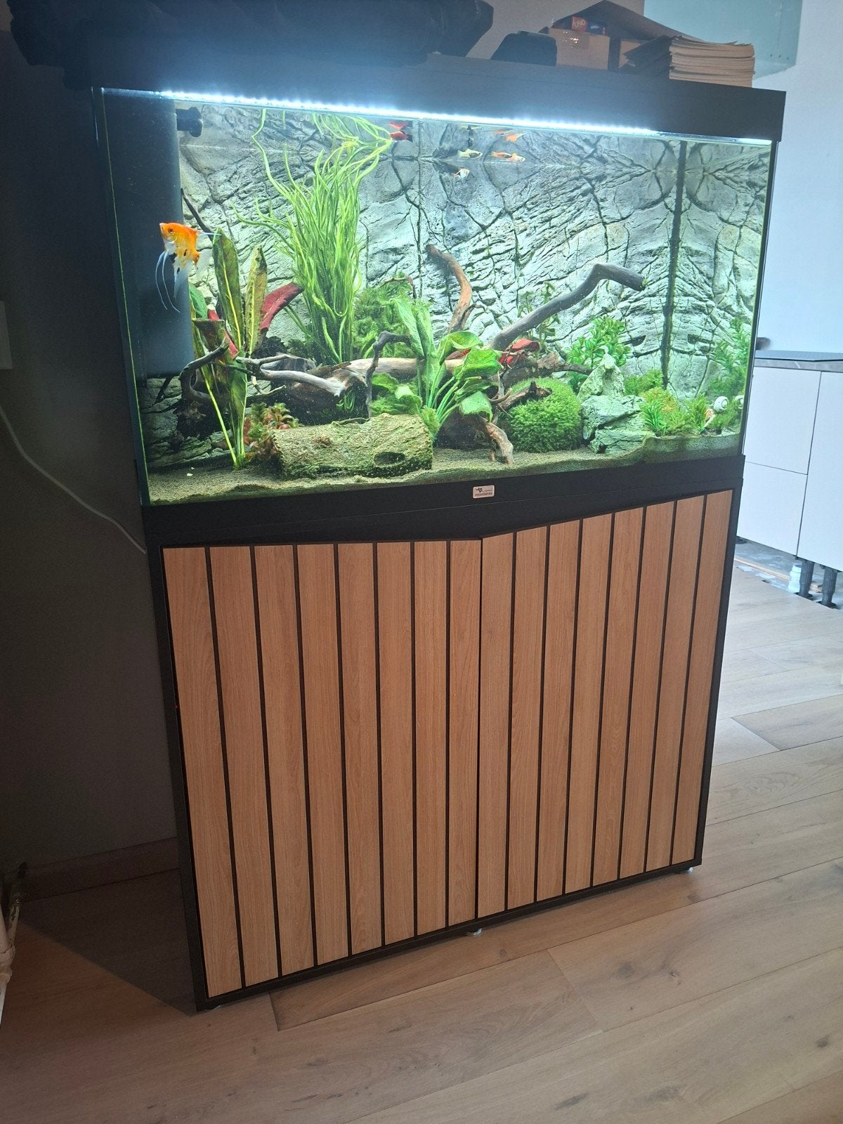 Aquatlantis Splendid 100 Aquarium + Meubel |, Ophalen, Aquatlantis, Inclusief vissen, Gevuld zoetwateraquarium