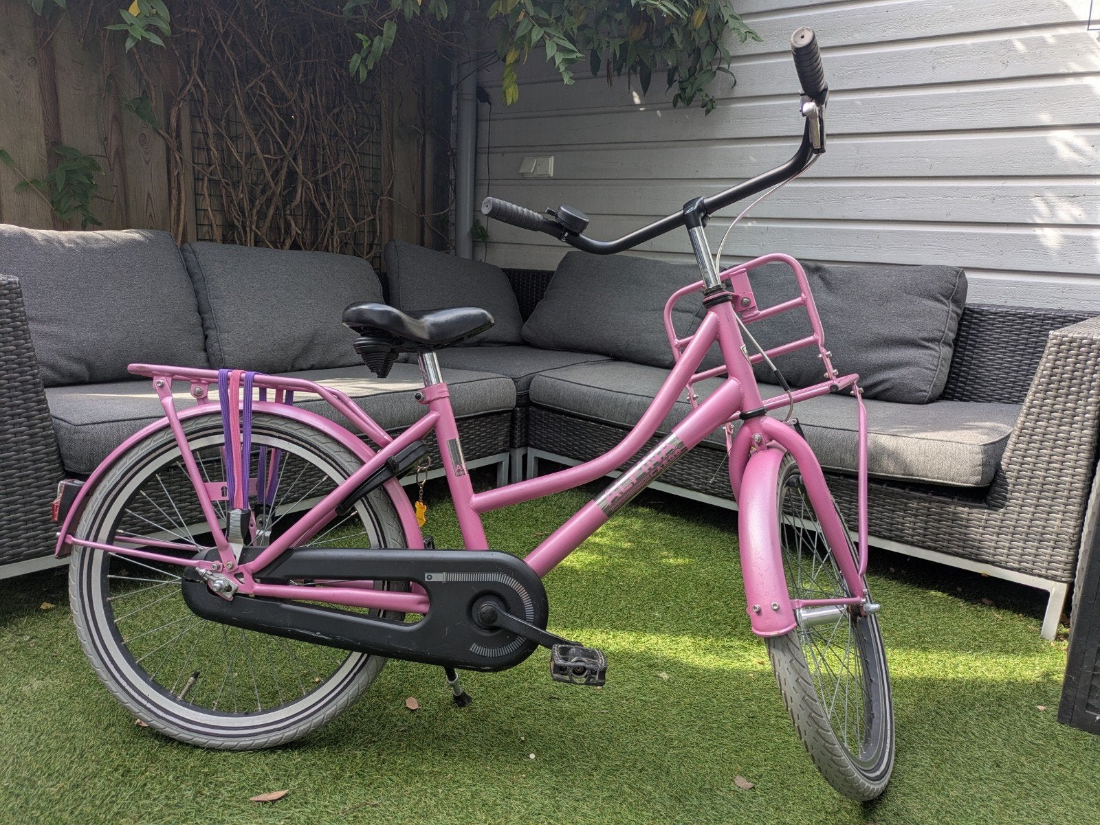 Alpine Cargo meisjesfiets 20 inch, Fietsen en Brommers, Ophalen, Terugtraprem, Gebruikt, Alpina