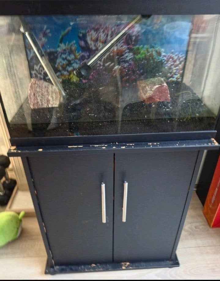 aqaurium met onderkast, Ophalen, Gebruikt, Leeg aquarium