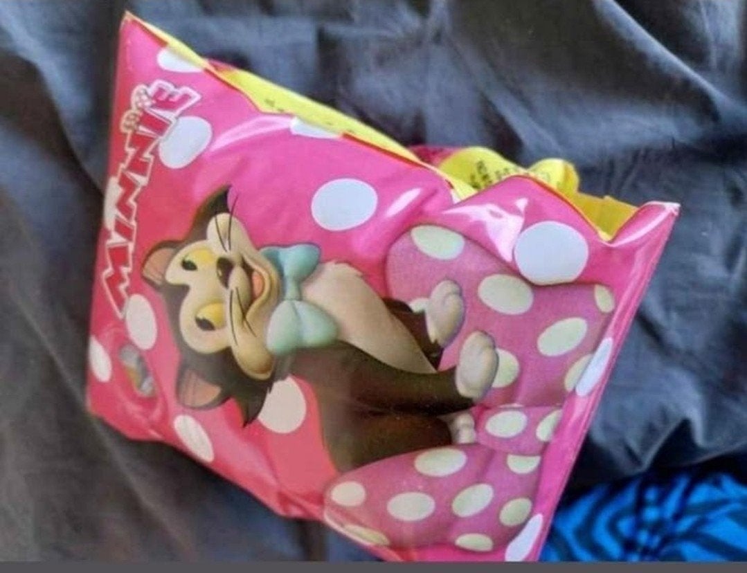 1 Minnie Mouse zwembandje, Ophalen of Verzenden, Gebruikt, Overige typen
