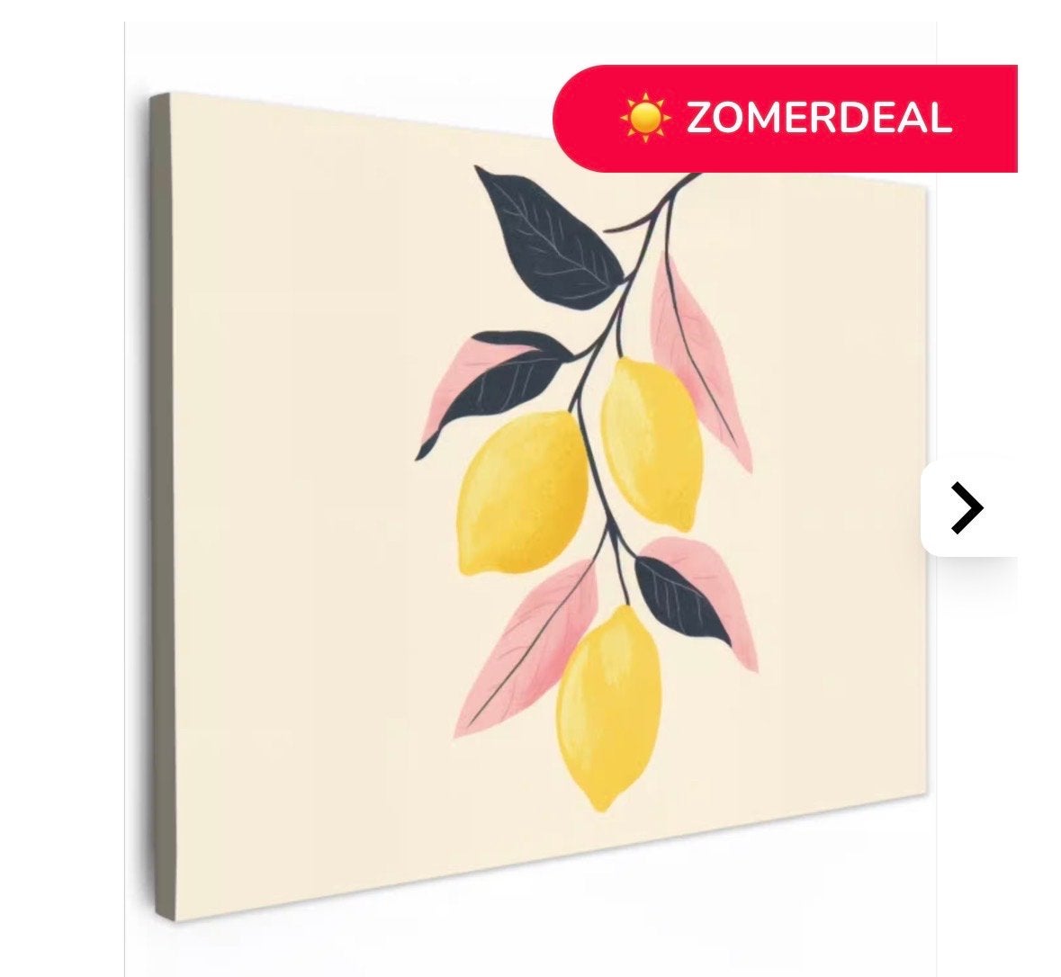 Buiten canvas met citroenen 70x50 (Topdoek), Ophalen, 50 – 75, Nieuw, Schilderij