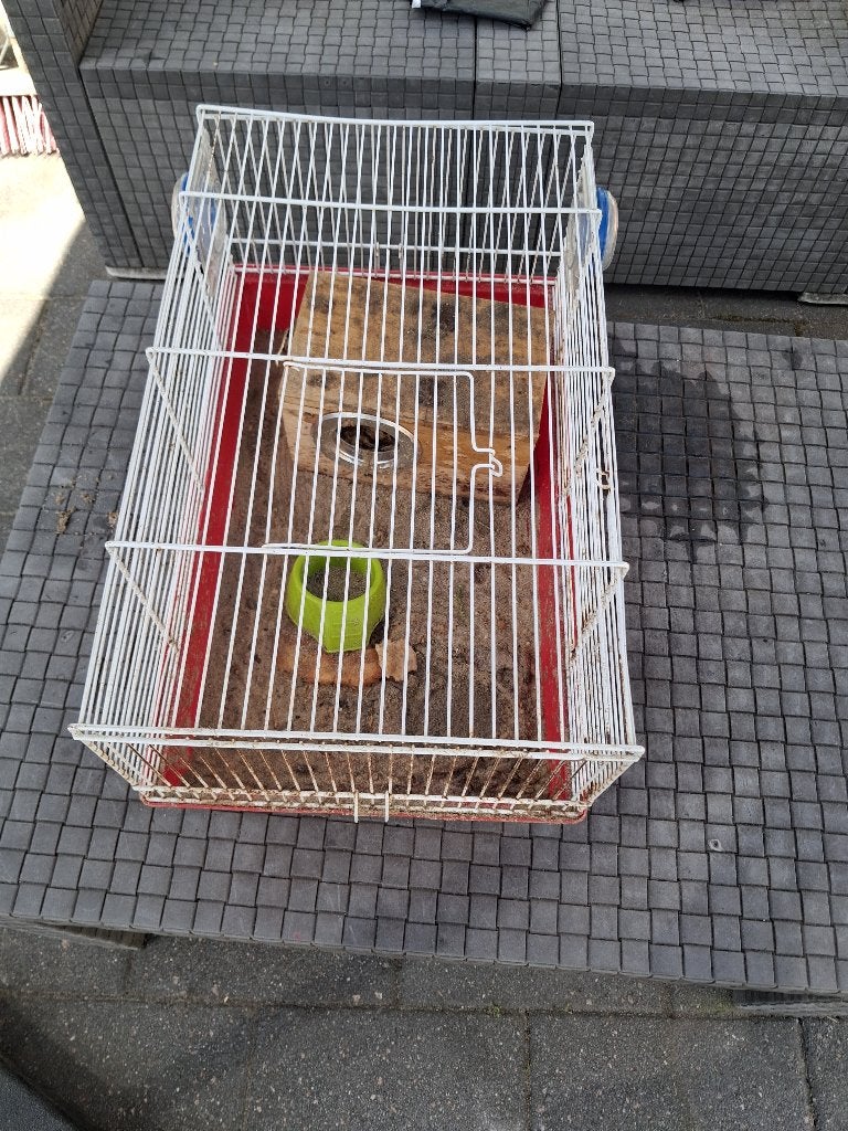 Ratten kooi zeer vies, Dieren en Toebehoren, Minder dan 60 cm, Ophalen of Verzenden, 75 tot 110 cm, Rat
