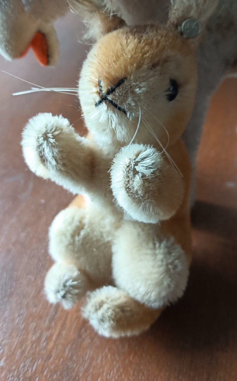 Antieke Steiff Pluche Eekhoorn met Knoop in Oor, Ophalen of Verzenden