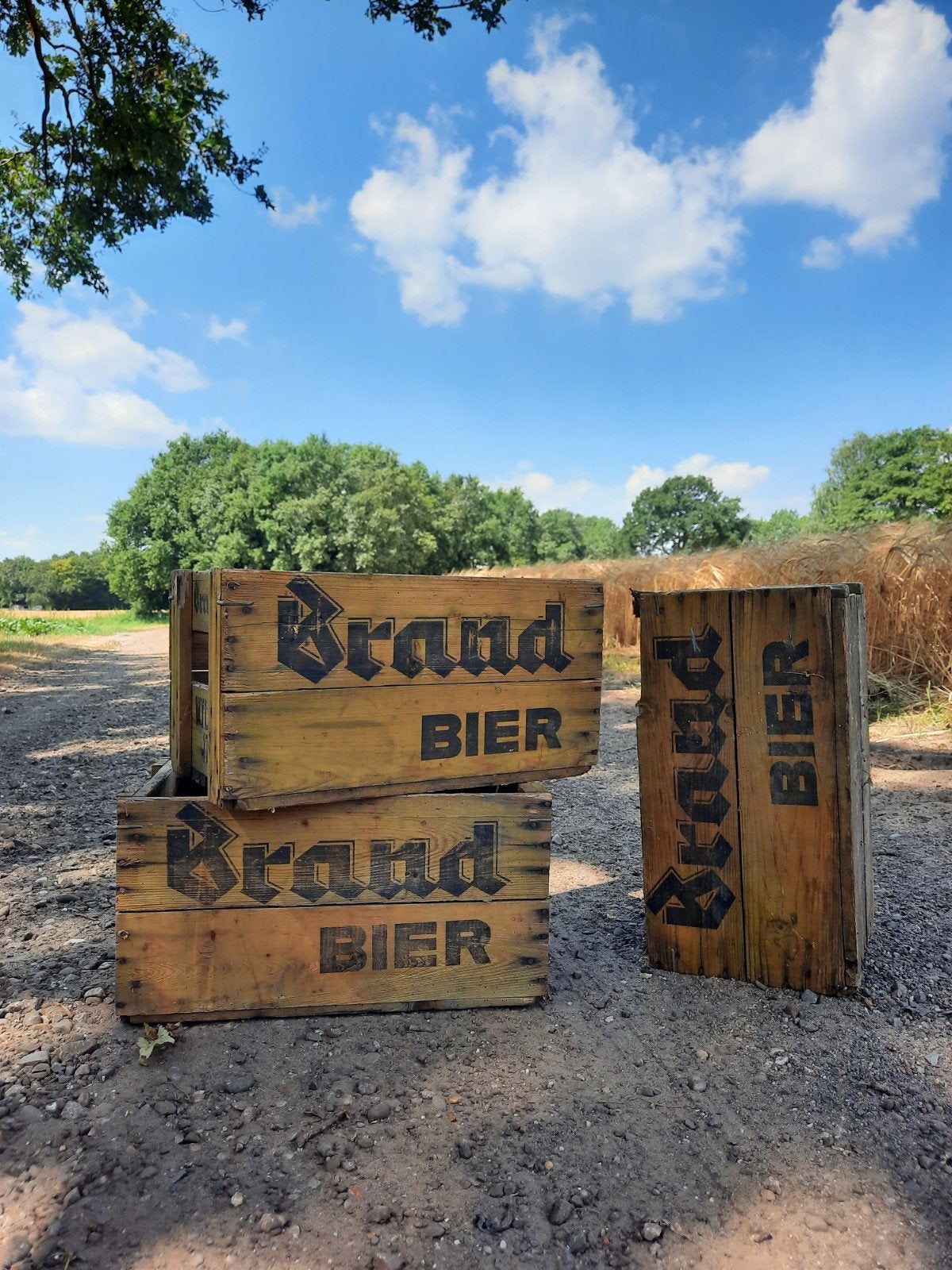 oude Brand bier kratjes mancave kroeg krat bierkrat, Ophalen, Gebruikt, Overige typen, Brand