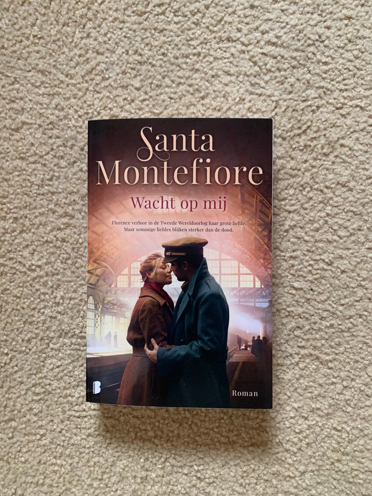 Santa Montefiore, Katie Fforde, Kate Morton, Lucinda Riley, Ophalen of Verzenden, Zo goed als nieuw
