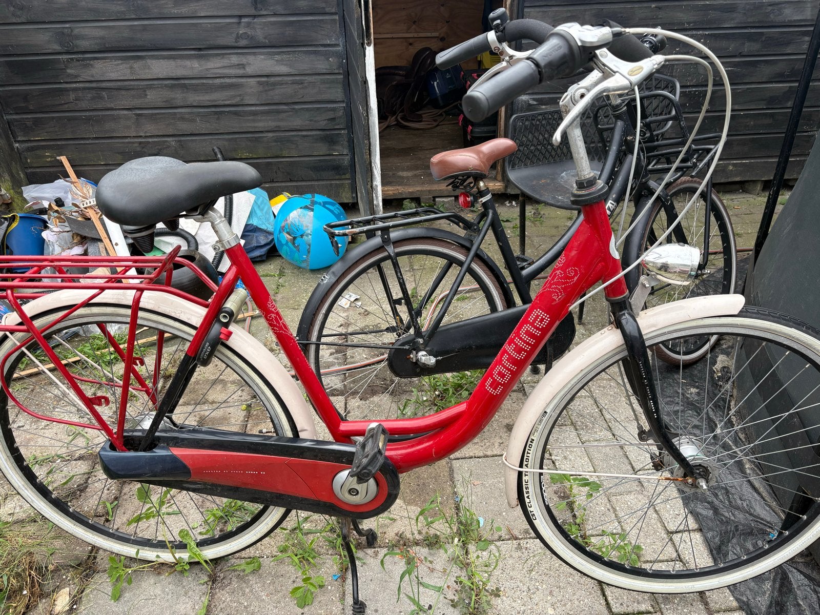 Cortina Damesfiets met lage instap, 50 tot 53 cm, Trommelrem, Ophalen, Overige merken