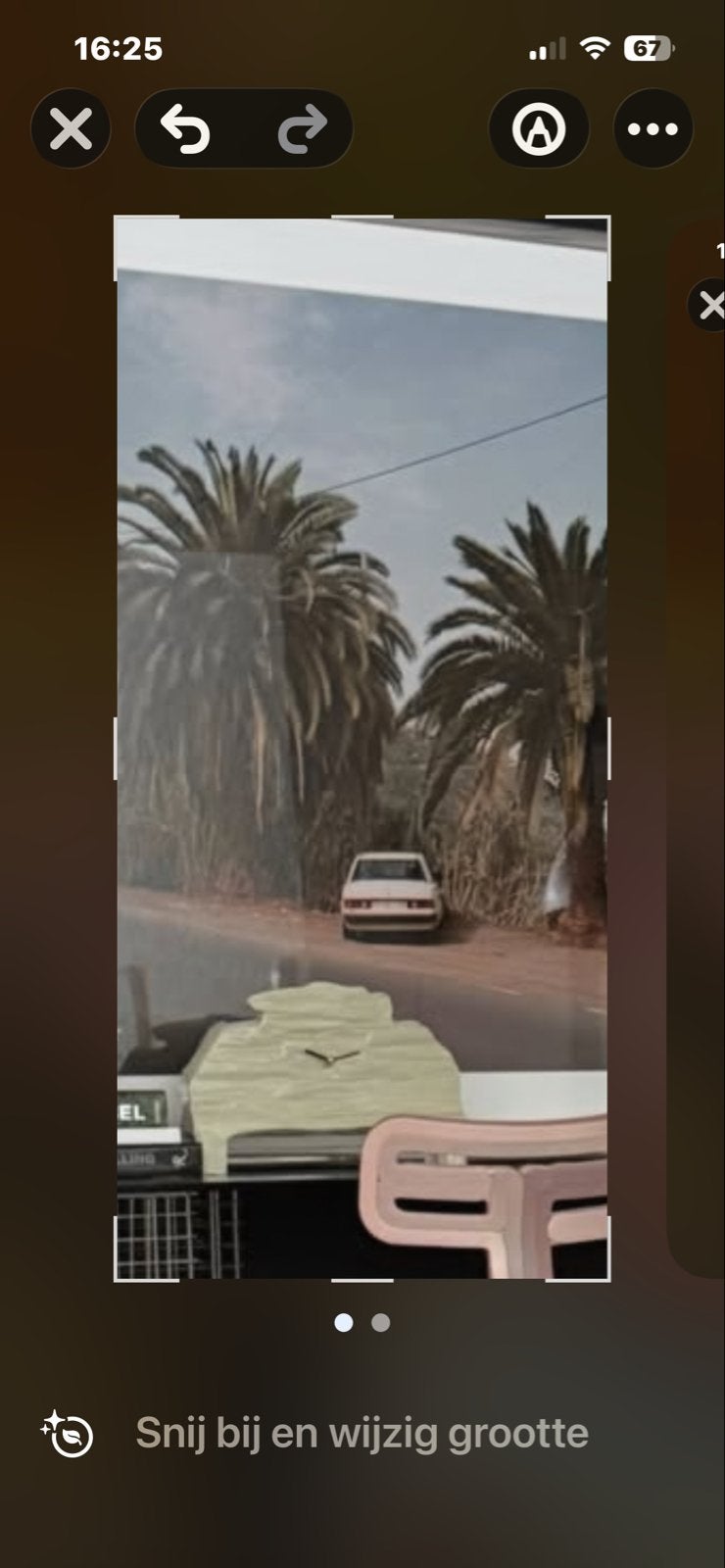 Gezocht: HK-Living foto met palmboom en auto, Antiek en Kunst, Ophalen, Foto, Fotografie