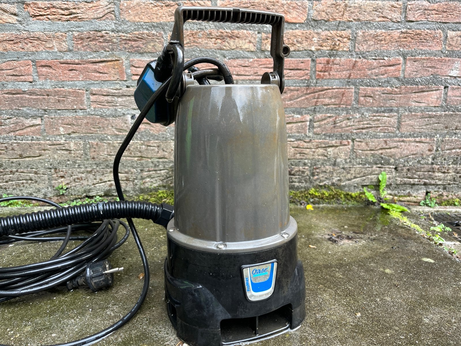 Oase ProMax Dompelpomp Vuil Water 6000 l/u, Ophalen of Verzenden, Gebruikt, Elektrisch, Dompelpomp