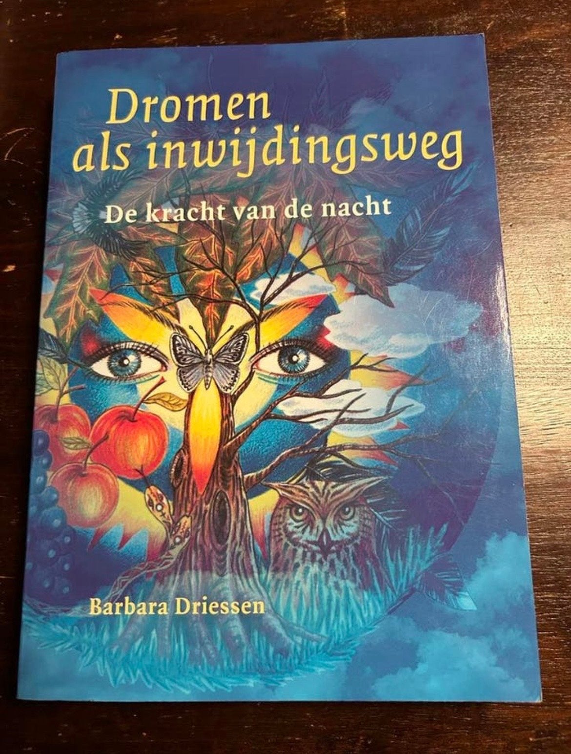 Dromen als inwijdingsweg: De kracht van de nacht, Boeken, Ophalen of Verzenden, Zo goed als nieuw, Spiritualiteit algemeen, Achtergrond en Informatie