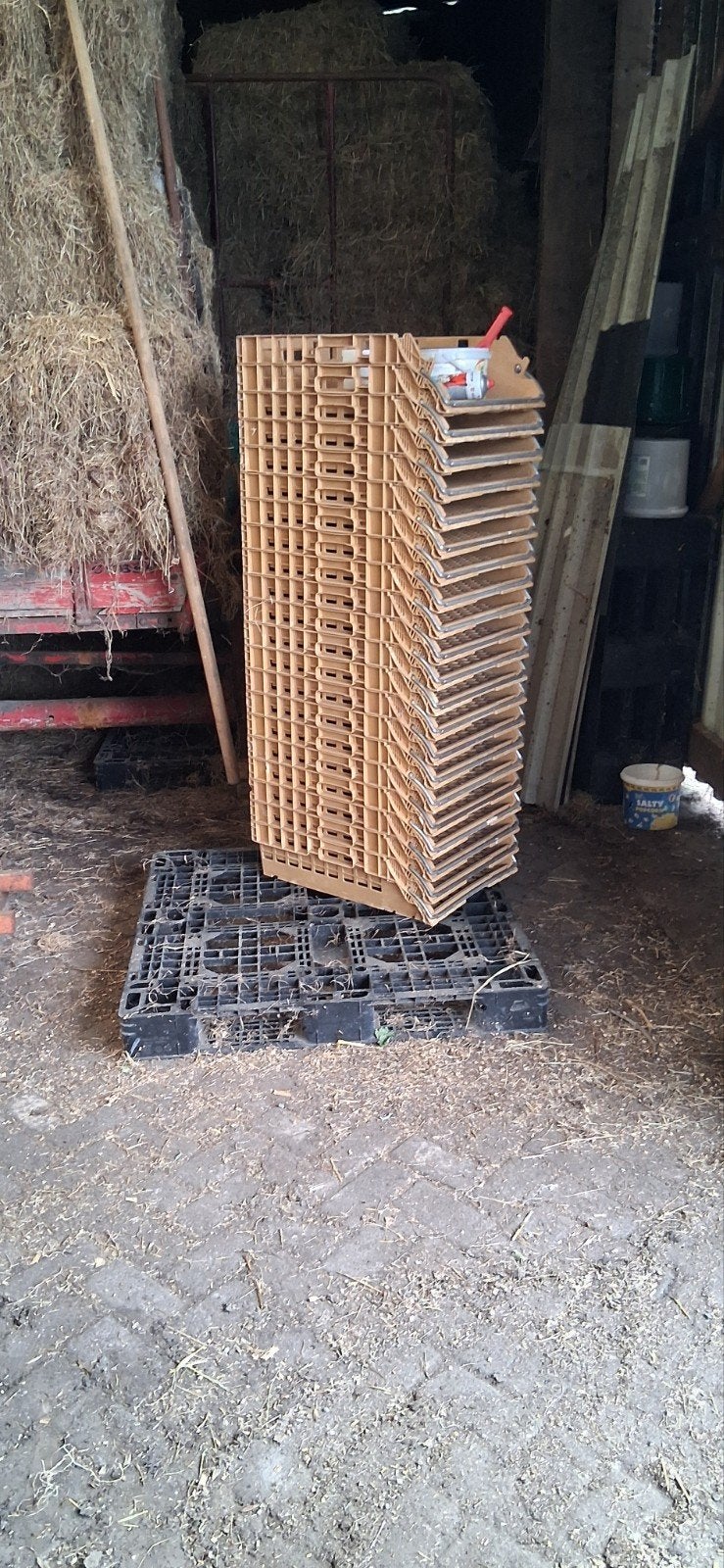 20 brood kratten, Ophalen, 40 tot 60 cm, 50 tot 75 cm, Minder dan 35 cm