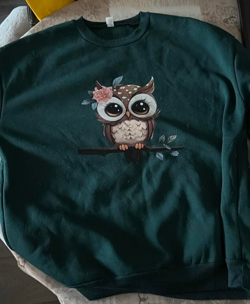 Donkergroene trui met uil print, Ophalen, Gedragen, Maat 46/48 (XL) of groter, Groen
