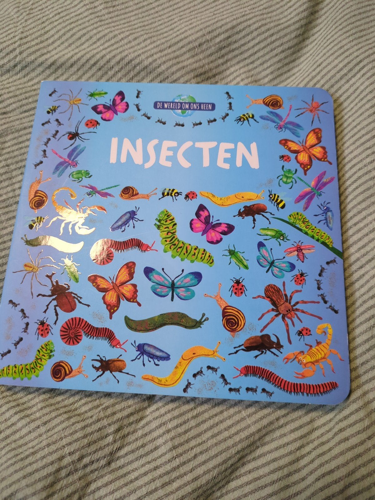 Kartonboek 'Insecten' - Ontdek de wereld van kriebelbeestjes, Boeken, Onbekend, Non-fictie, Jongen of Meisje, Ophalen of Verzenden