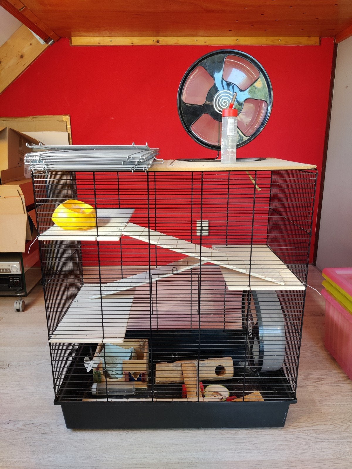 Hamsterhok met diverse toebehoren, Minder dan 75 cm, Zo goed als nieuw, Hok, Ophalen