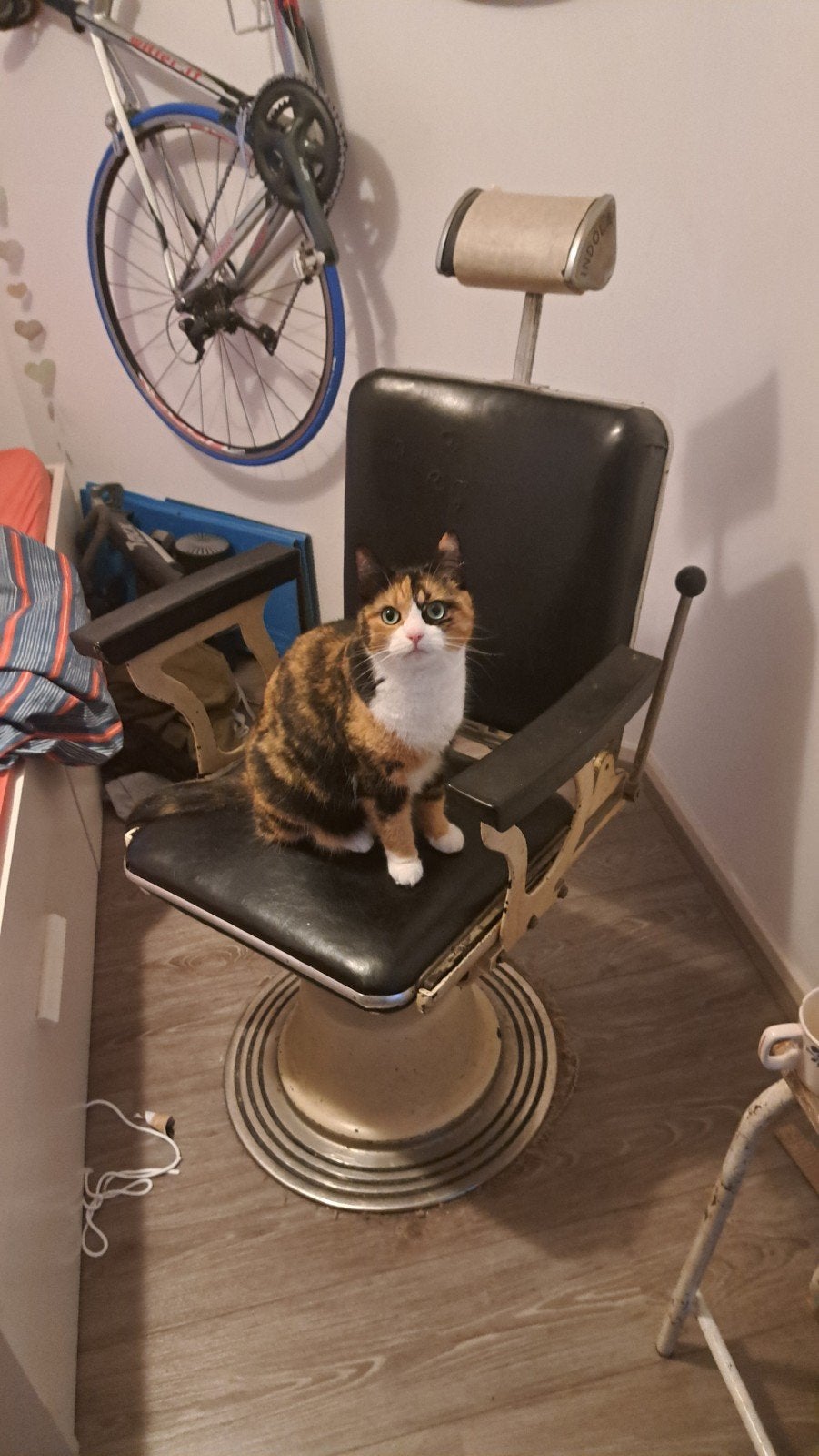 Antieke Indola Kappersstoel, Huis en Inrichting, Stoelen, Ophalen, Gebruikt, Bruin, Eén