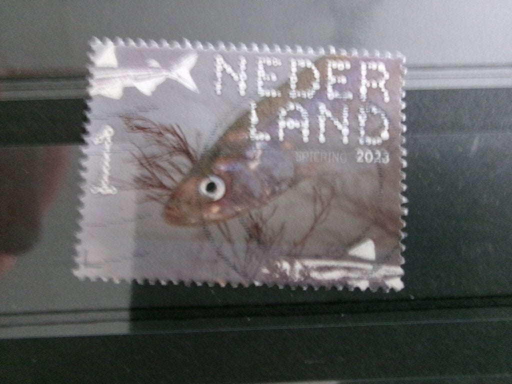 2023 - beleef de natuur spiering (410c), Ophalen of Verzenden, Gestempeld