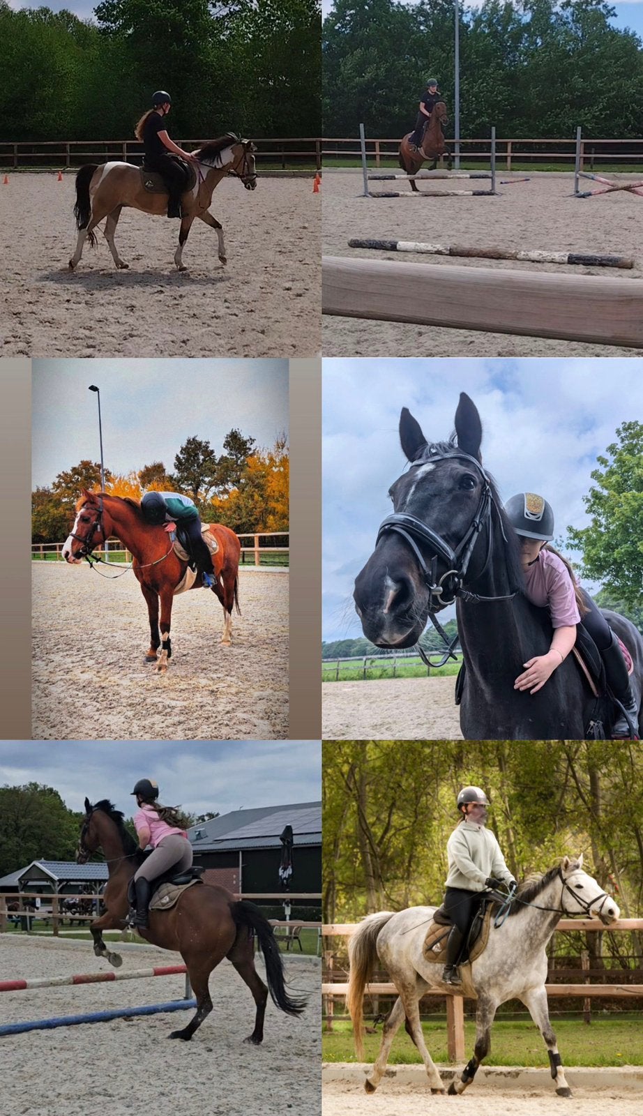 bijrijdpaard(en) gezocht, Ophalen of Verzenden, Nieuw