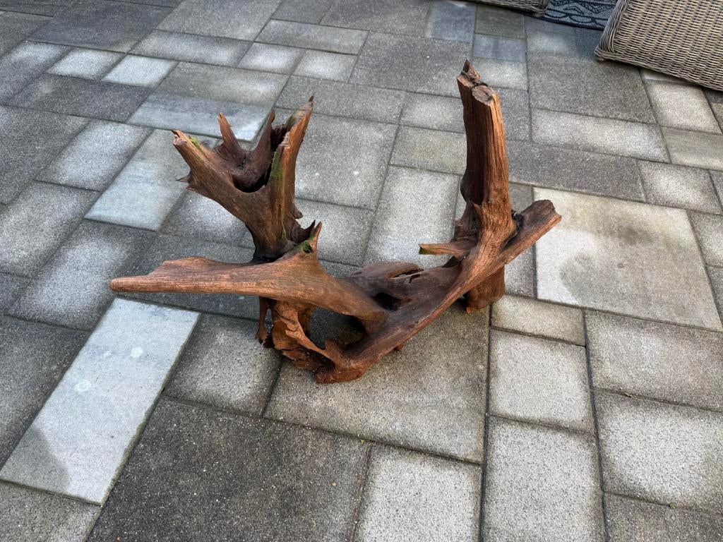 Een prachtige mooi groot stuk kienhout, Ophalen of Verzenden, Zo goed als nieuw, Plant(en), Steen of Hout