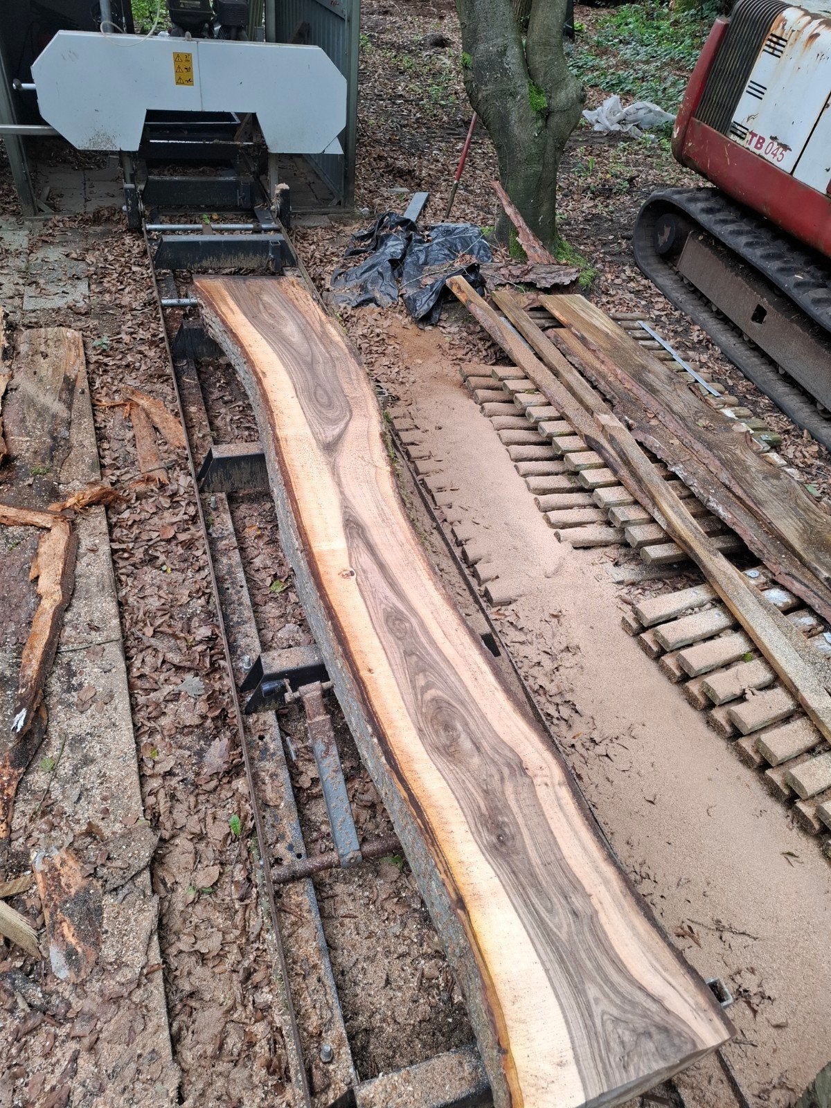 Notenhout, Ophalen, 25 tot 50 mm, Nieuw, 250 tot 300 cm