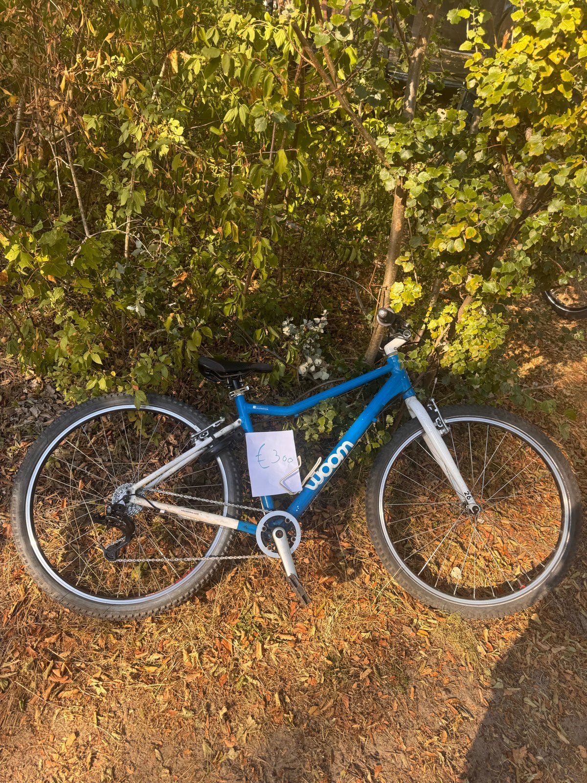 Woombike 6 kinderfiets - topkwaliteit voor een zacht prijsje, Ophalen, Gebruikt, 20 inch of meer