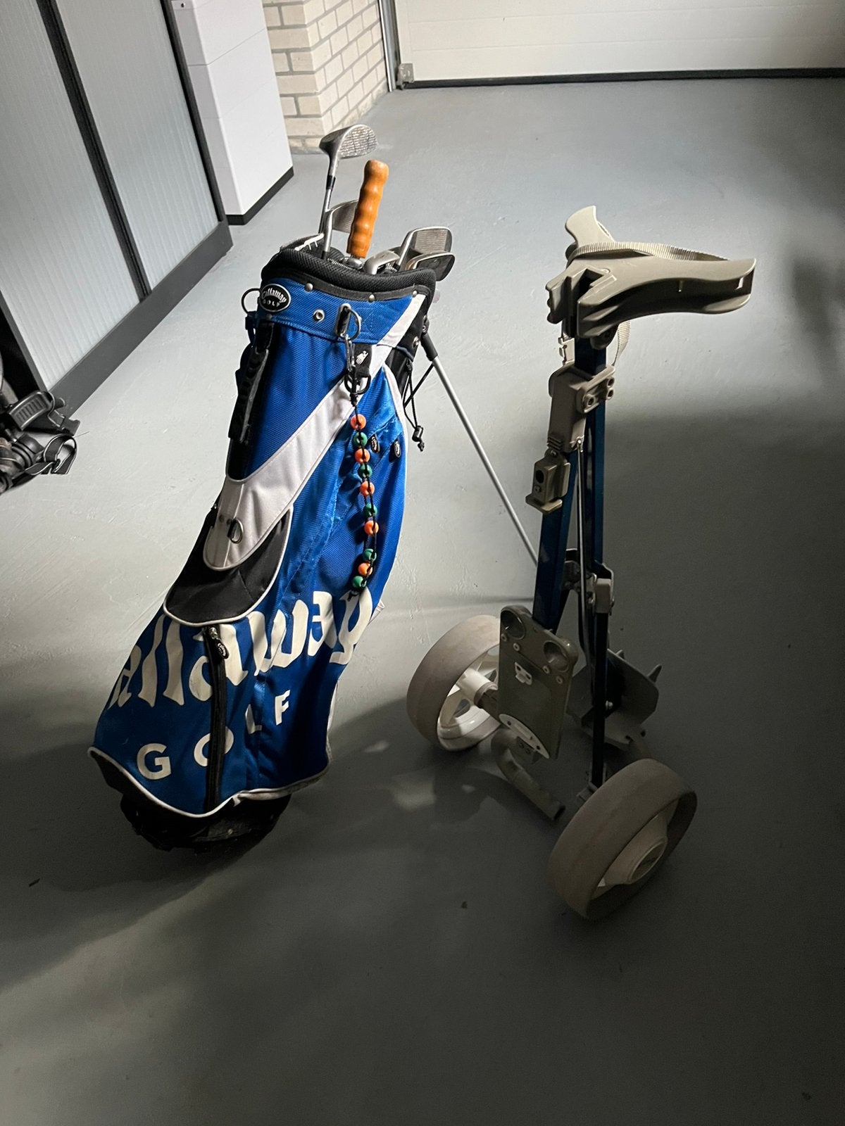 Dames golf beginnersset, Ophalen, Gebruikt, Set, Overige merken