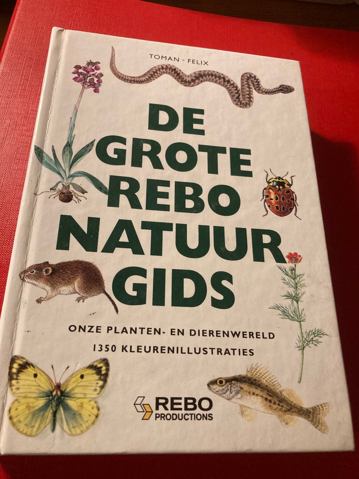 De grote rebo natuurgids, Boeken, Ophalen of Verzenden, Zo goed als nieuw, Natuur algemeen