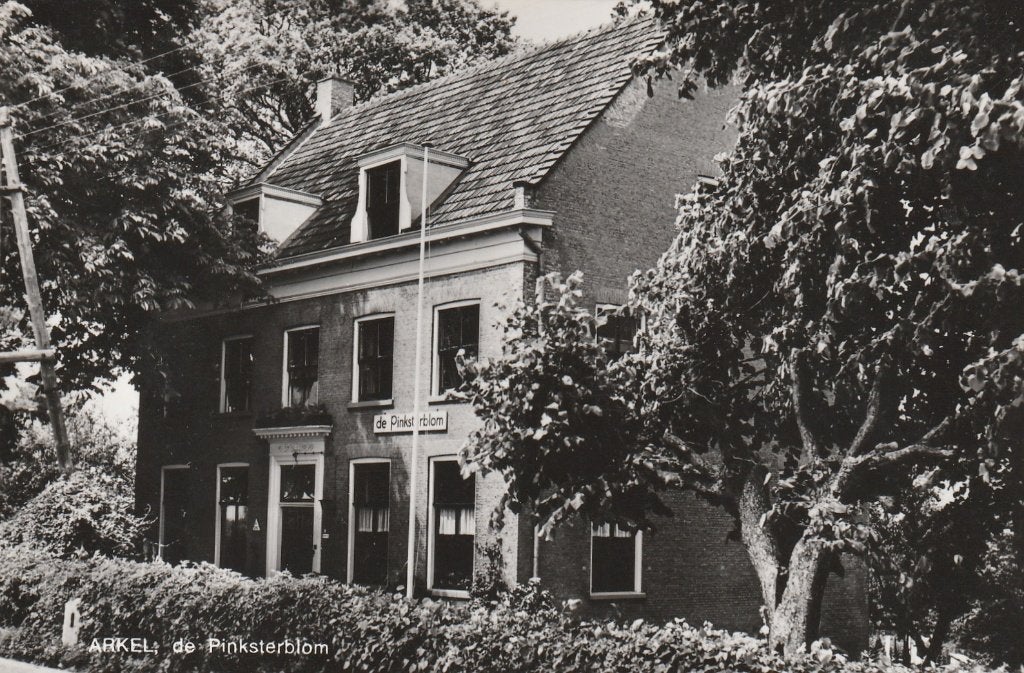 arkel- de pinksterblom, Ophalen of Verzenden