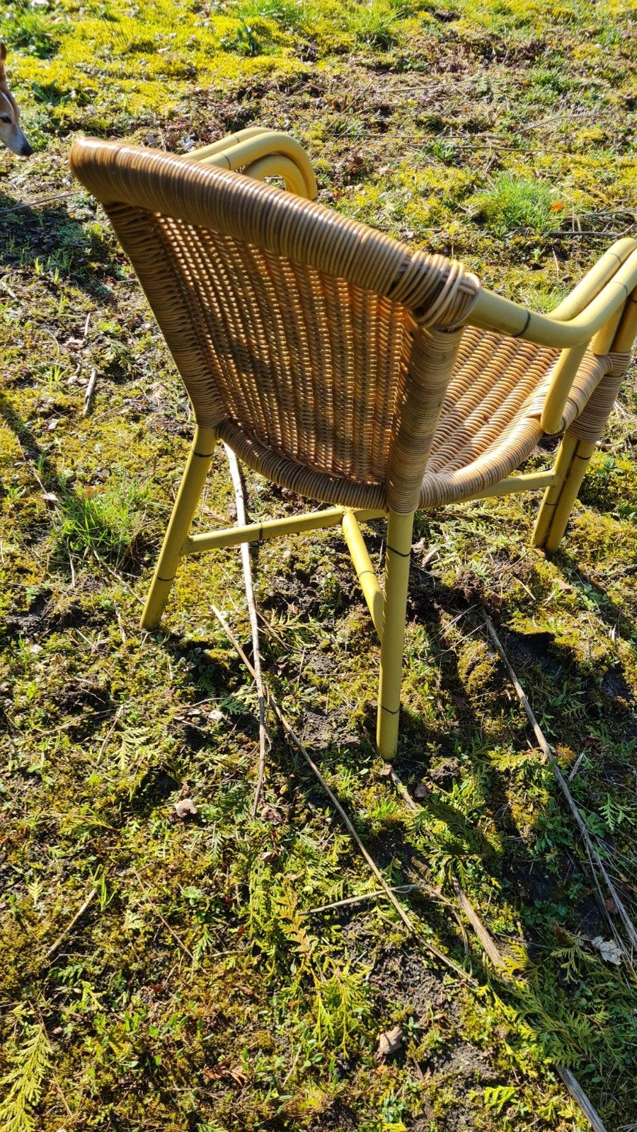 tuinstoel, Ophalen, Gebruikt, Kunststof