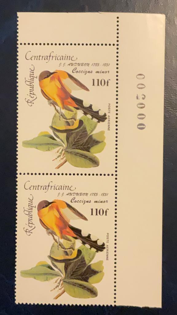 Centraal Afrikaanse Republiek - vogels Audubon, Ophalen of Verzenden, Postfris, Dier of Natuur