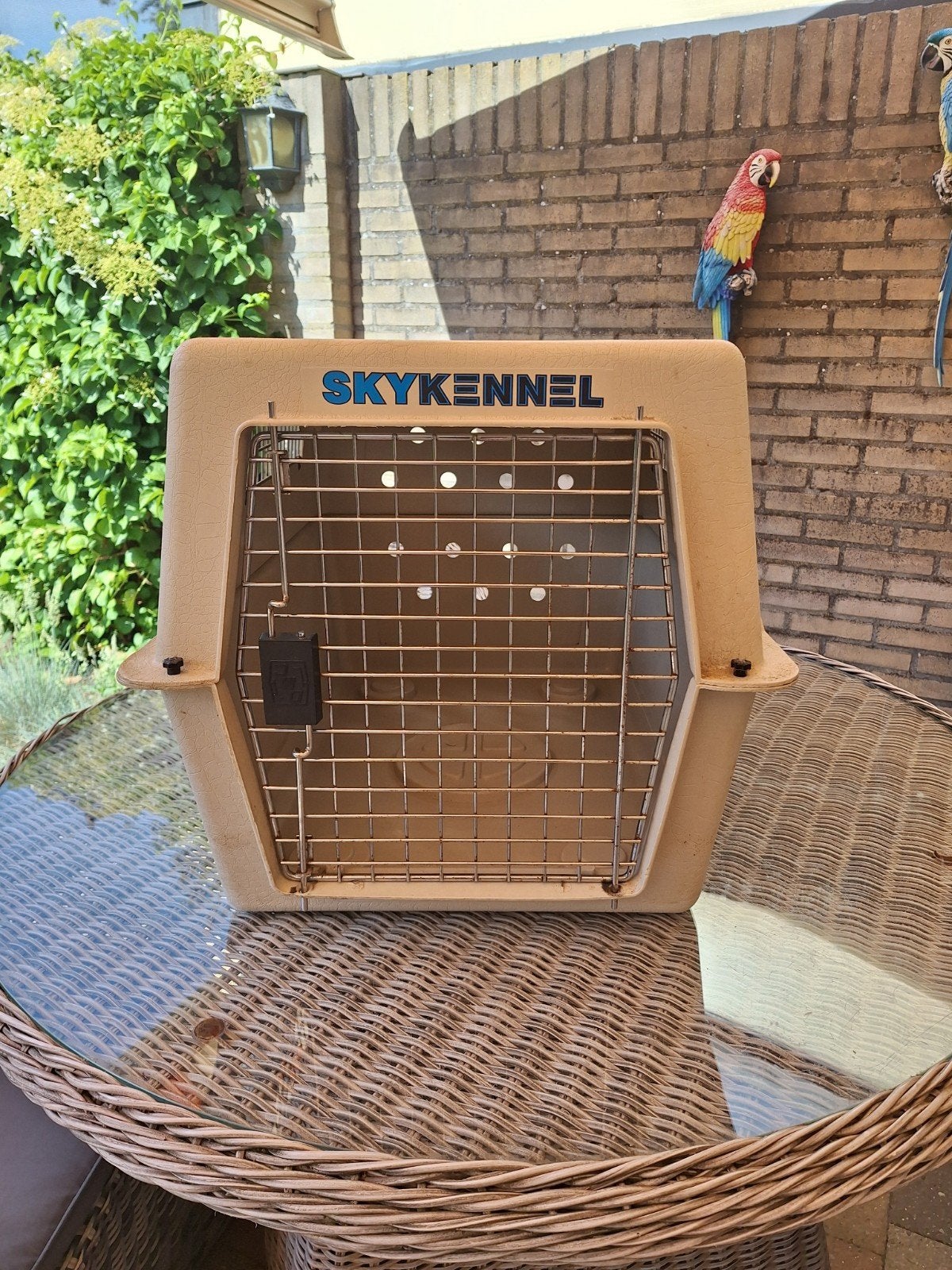 honden transportbox/bench, Dieren en Toebehoren, Ophalen, Gebruikt