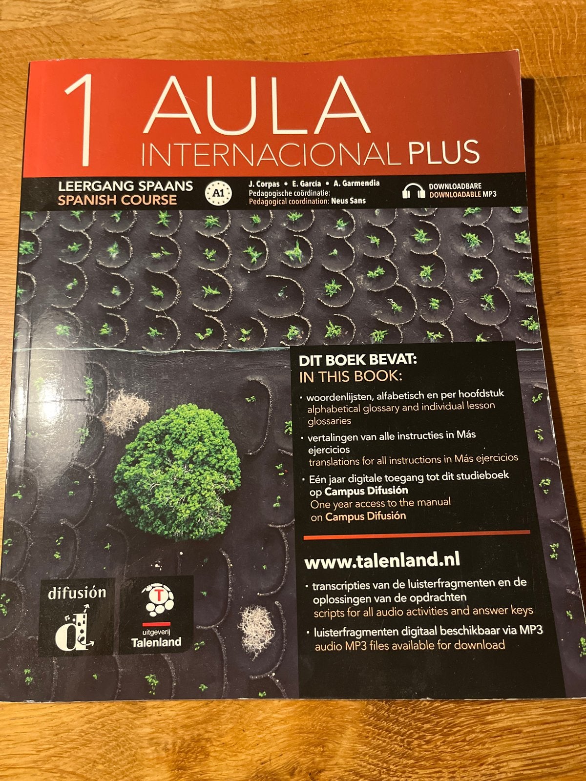 AULA Internacional Plus 1 Spaans leerboek A1, Ophalen of Verzenden, Zo goed als nieuw, Non-fictie