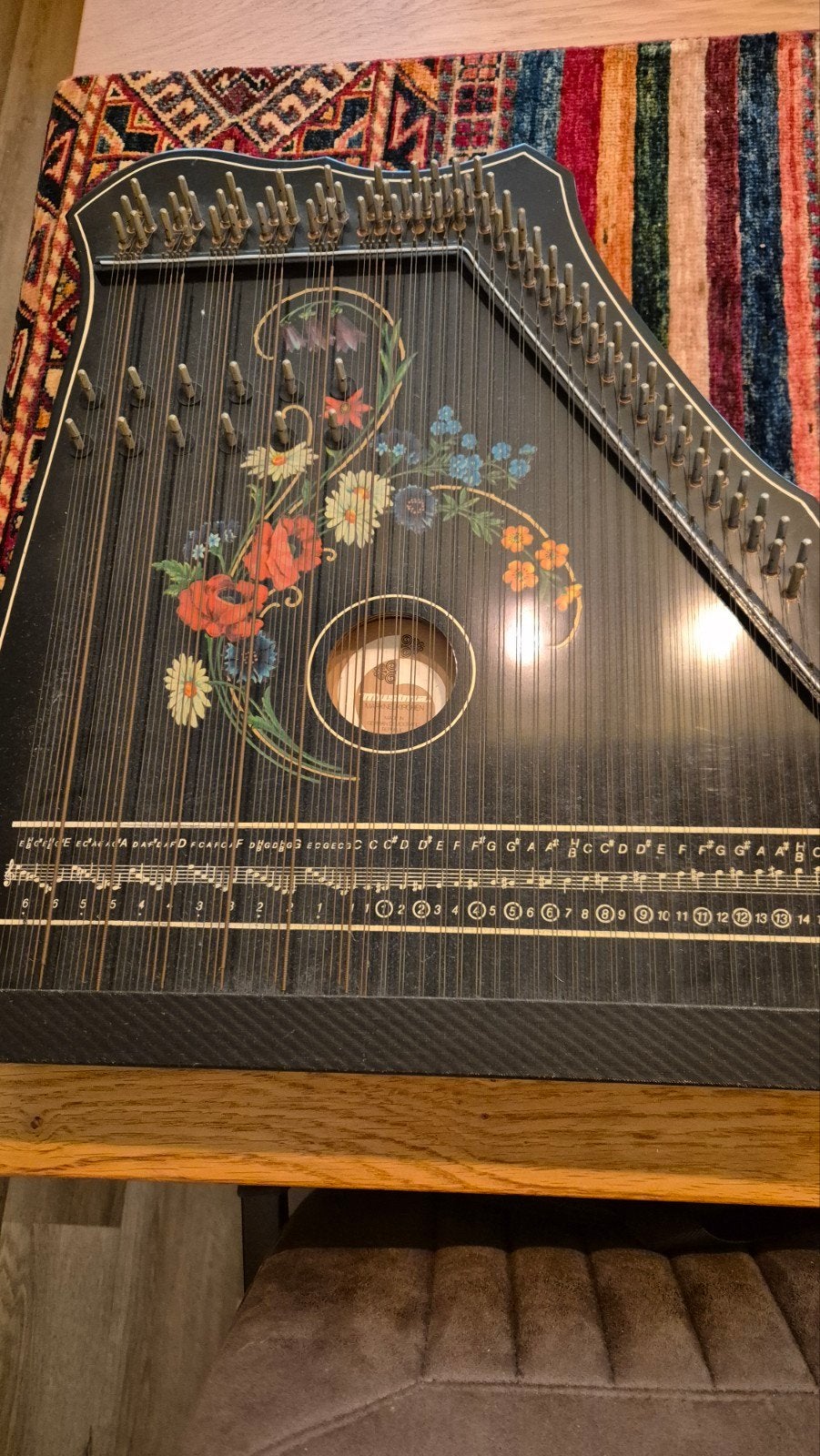 Citer, Muziek en Instrumenten, Ophalen of Verzenden, Overige typen