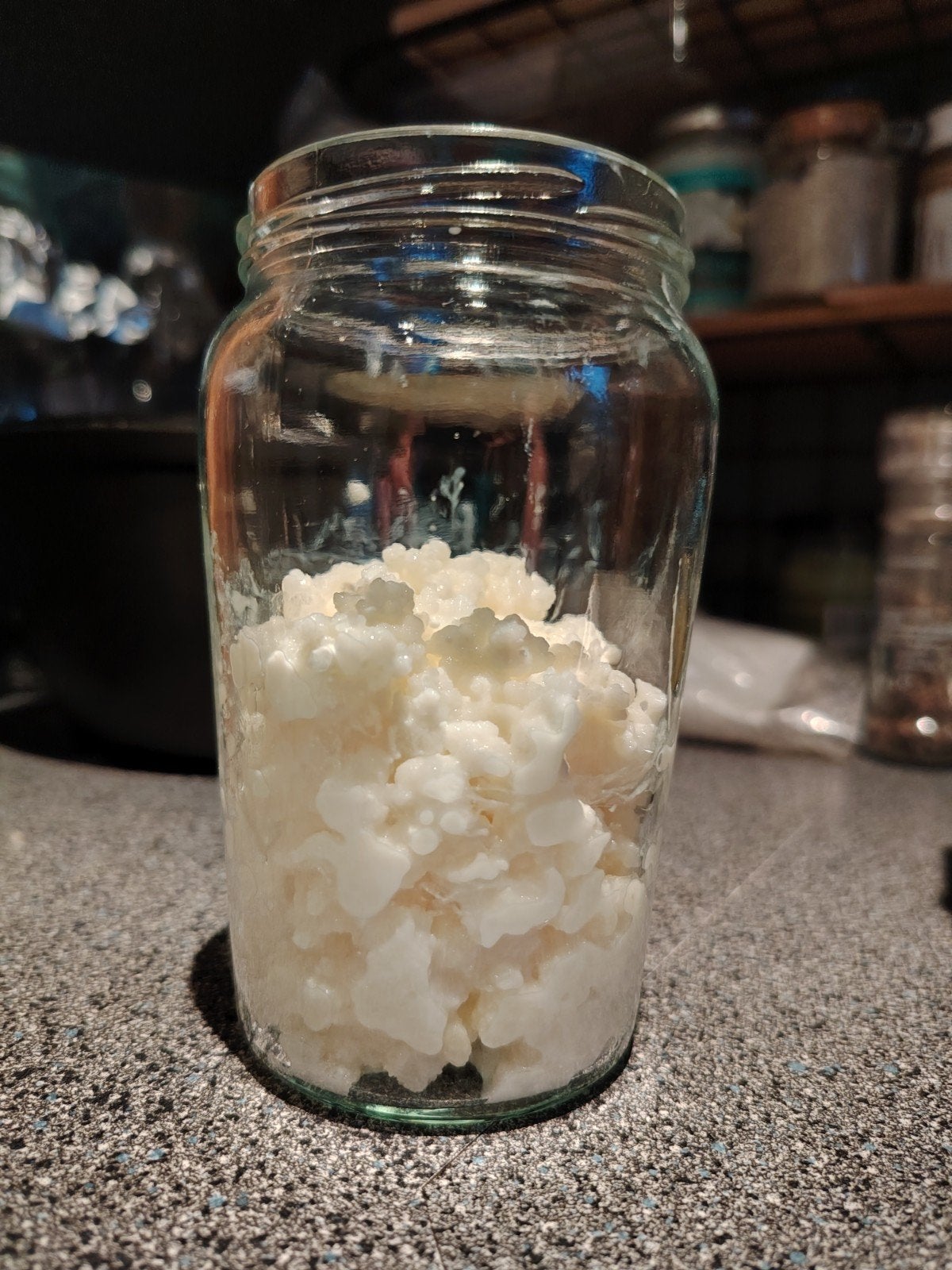 Kefirkorrels - kefir - maak je eigen probiotische melkdrank, Ophalen