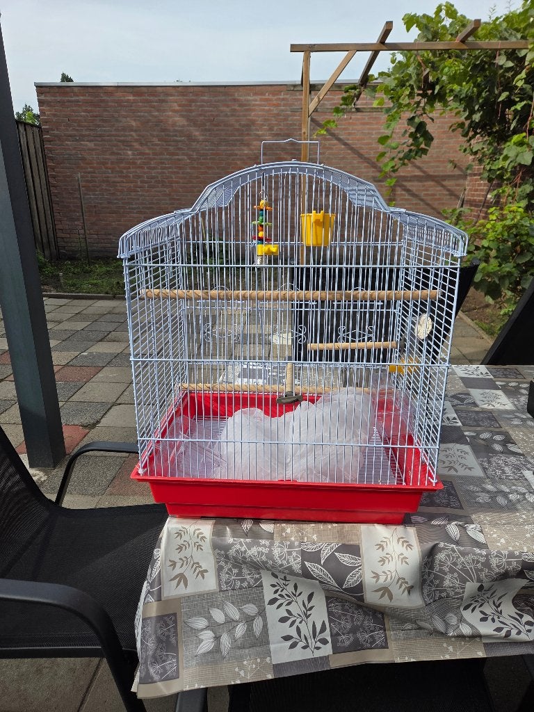 Vogel kooi, Meerdere dieren, Parkiet