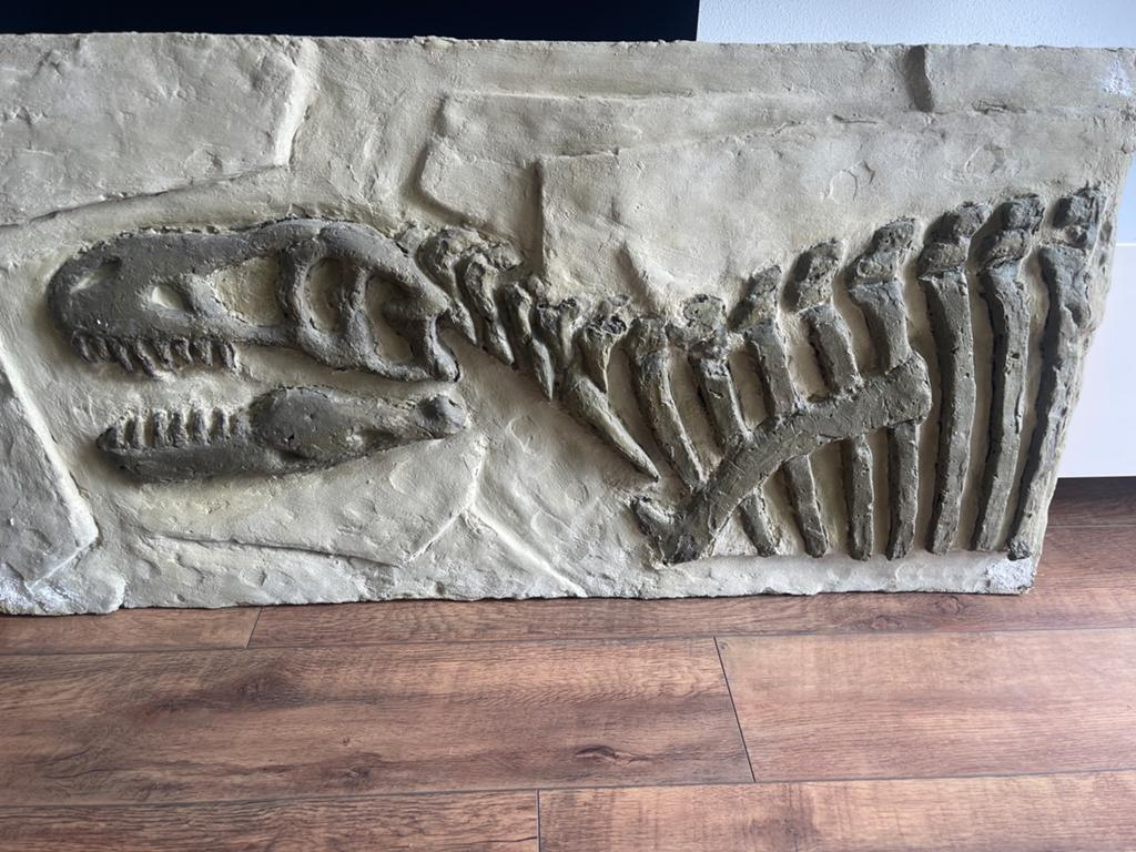 T-Rex opgraving archeologie replica fossiel, Verzamelen, Mineralen en Fossielen, Ophalen, Fossiel