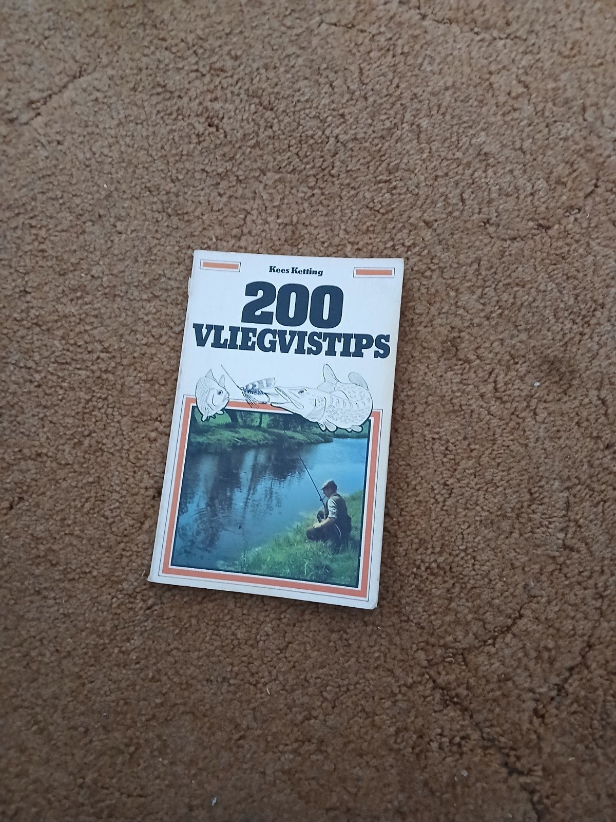 200 Vliegvistips - Kees Retting, Ophalen of Verzenden