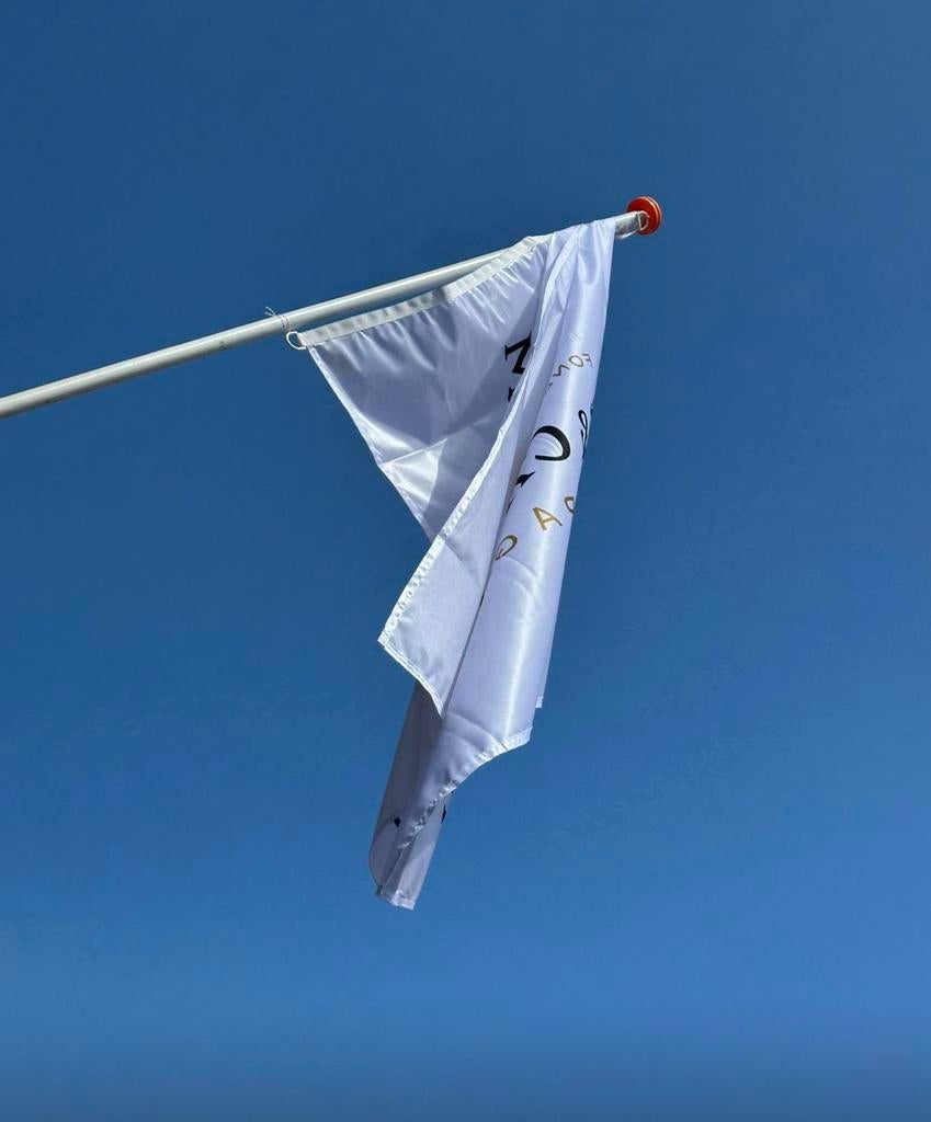 Moët & chandon champagne vlag, Ophalen of Verzenden, Zo goed als nieuw