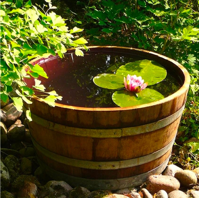 Wijnvat vijver - + waterlelie  Halve wijnvat plantenbak, Tuin en Terras, Vijvers, Ophalen, Gebruikt