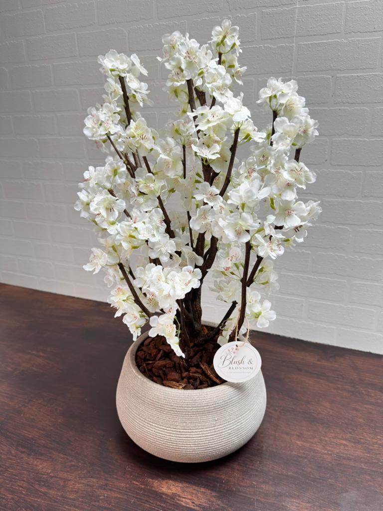 Petite Blossom, Ophalen, Zo goed als nieuw
