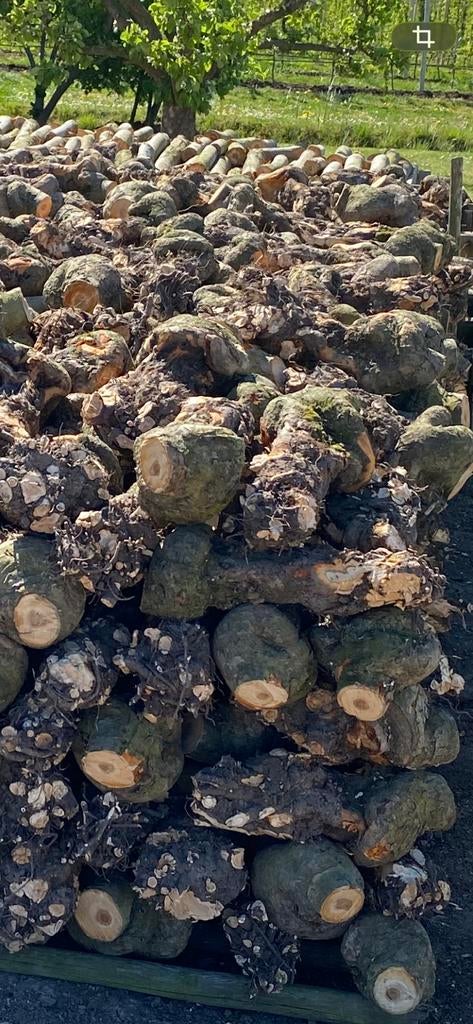 Haardhout, 6 m³ of meer, Ophalen of Verzenden