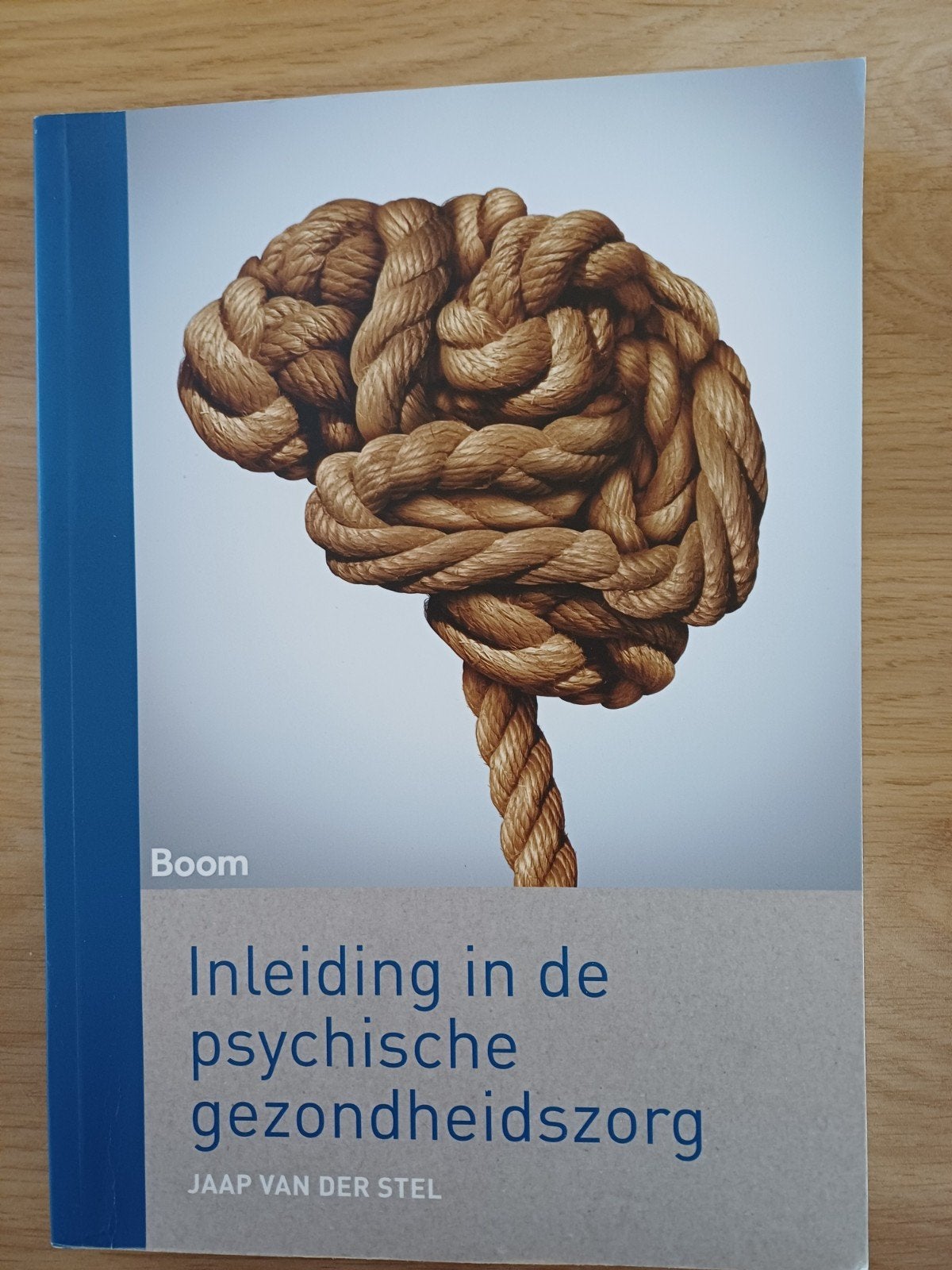 studieboek HBO Social Work: Inleiding in de psychische gezon, Boeken, Ophalen, Zo goed als nieuw, HBO, Jaap van der Stel