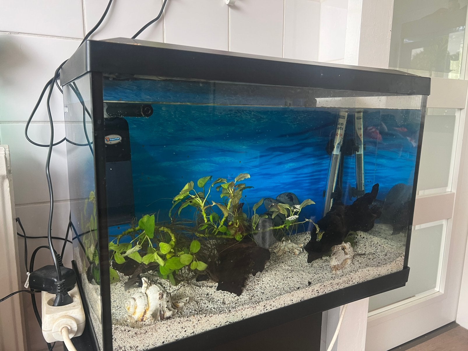Gartis aquarium, Dieren en Toebehoren, Ophalen, Gebruikt, Overige typen