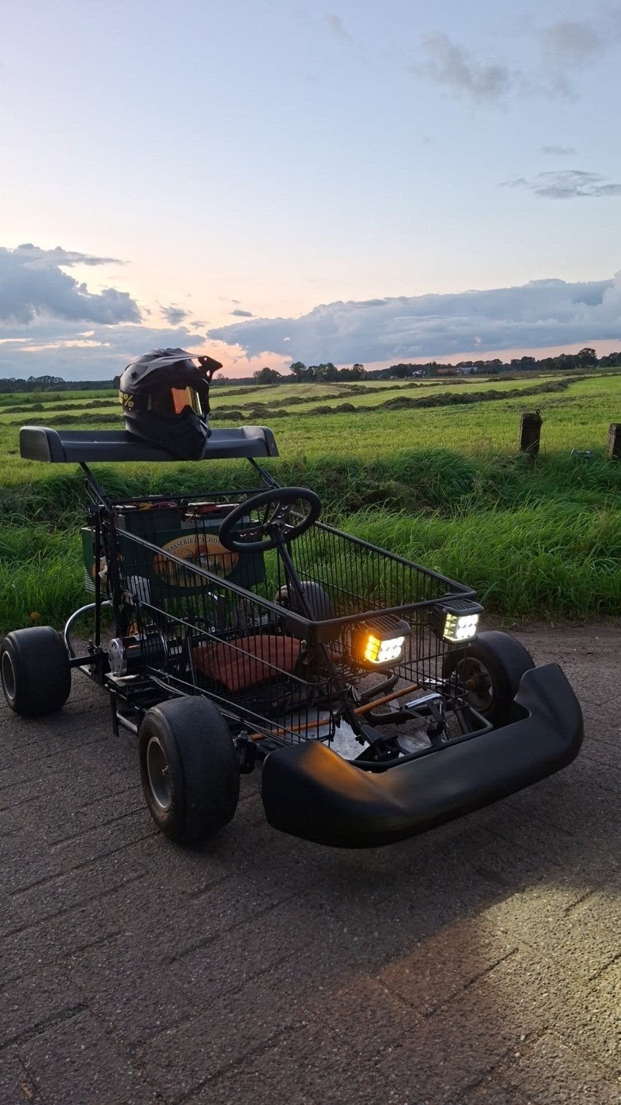 Unieke 500W 24V Elektrische Winkelwagen Kart, Ophalen, Kart