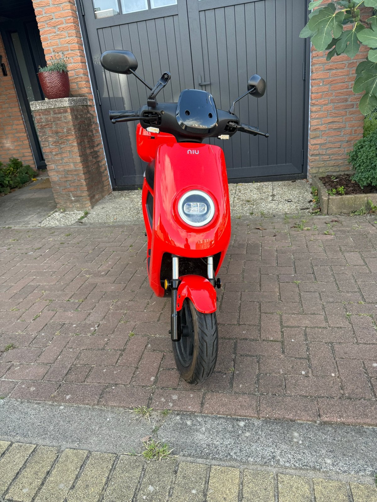 NIU M1 Pro Elektrische Scooter - Rood, Lage Kilometerstand, Fietsen en Brommers, Ophalen of Verzenden, Zo goed als nieuw