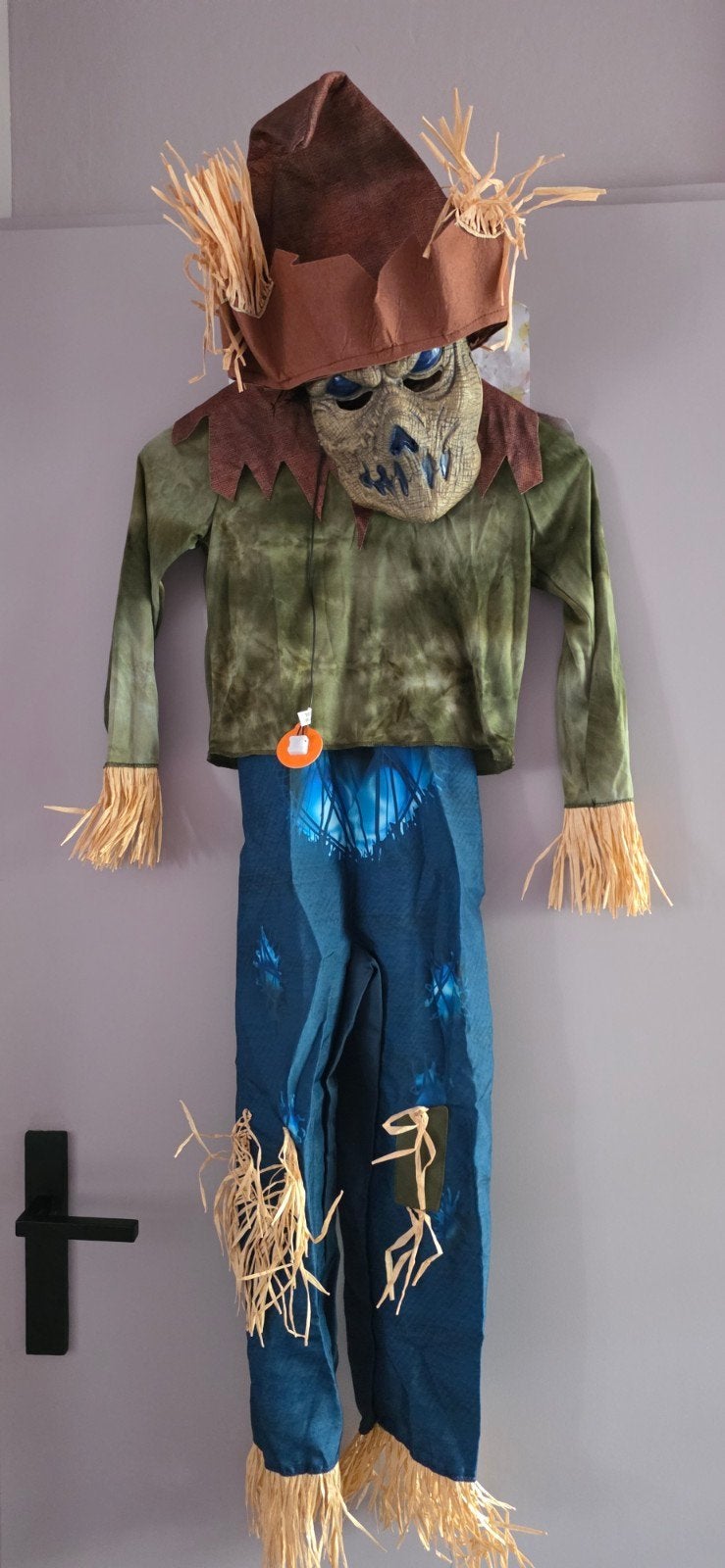Halloween vogelverschrikkerpak, Ophalen of Verzenden, Zo goed als nieuw, 134 t/m 140, Jongen of Meisje