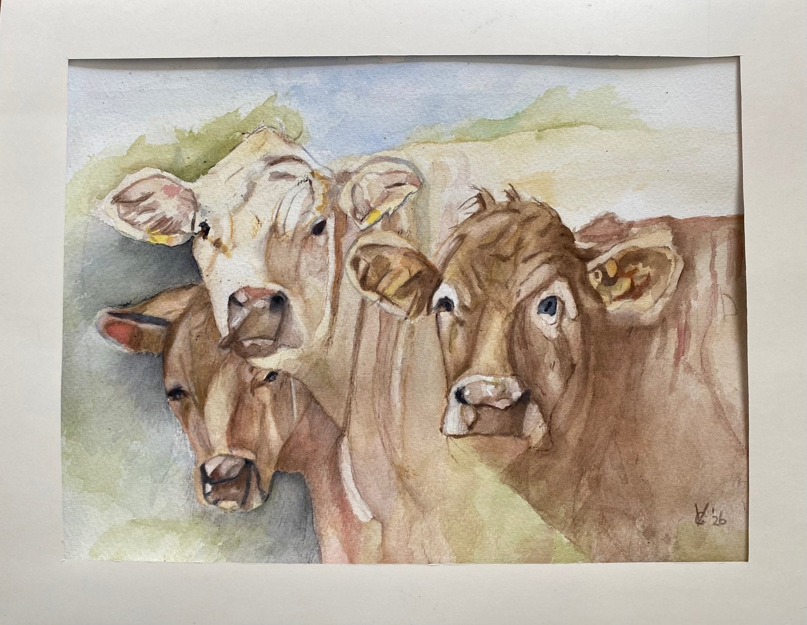 Aquarel koeien (40x30), Origineel werk, Dieren, Ophalen of Verzenden, Papier