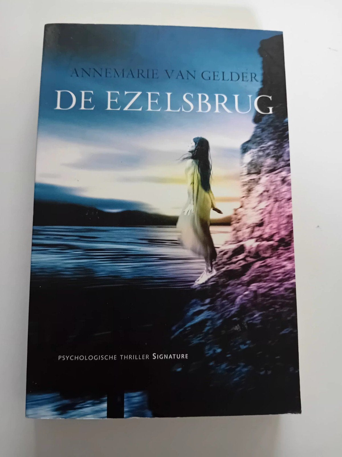 De ezelsbrug - Annemarie van Gelder, Ophalen of Verzenden, Zo goed als nieuw